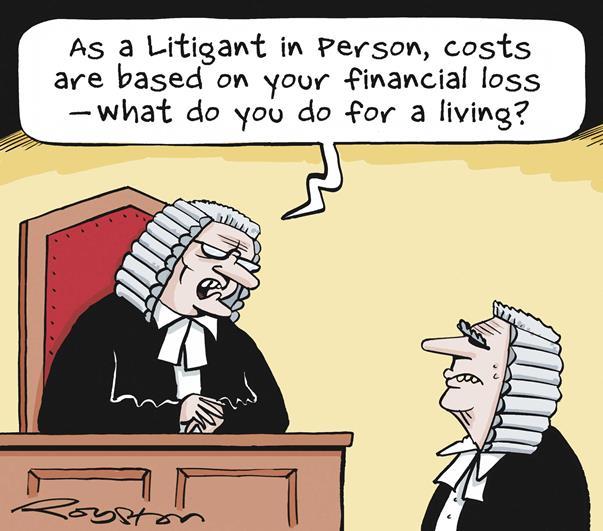 litigant définition What is